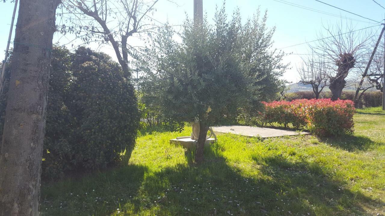 Casa Selene Rocchi Villa Savignano sul Panaro Luaran gambar